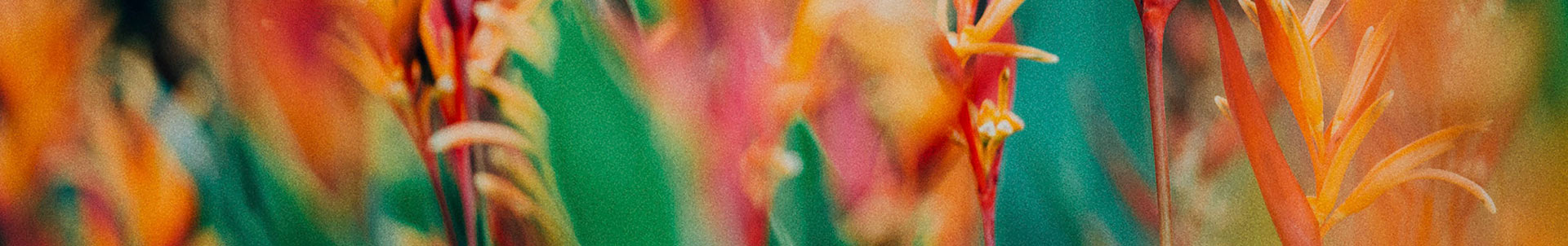 Mixtape alert: Mathieu Koss drops his Spring Mix Mixtape alert: Mathieu Koss drops his Spring Mix