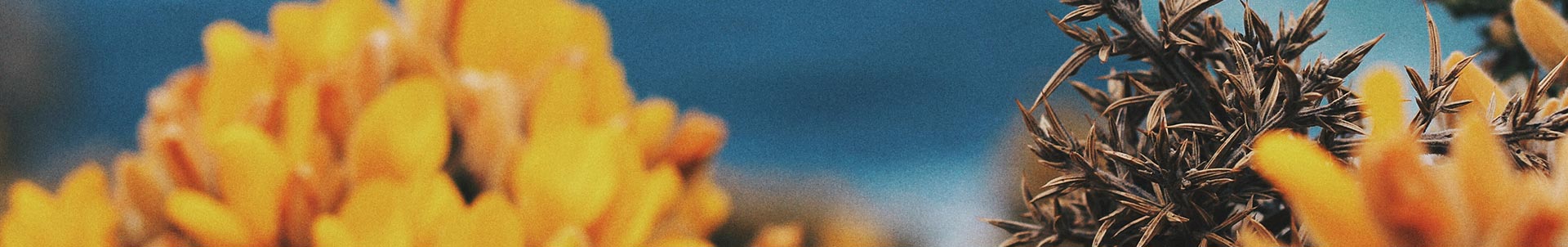Mixtape alert: Bolier & Redondo deliver Spring 2017 Mix Mixtape alert: Bolier & Redondo deliver Spring 2017 Mix