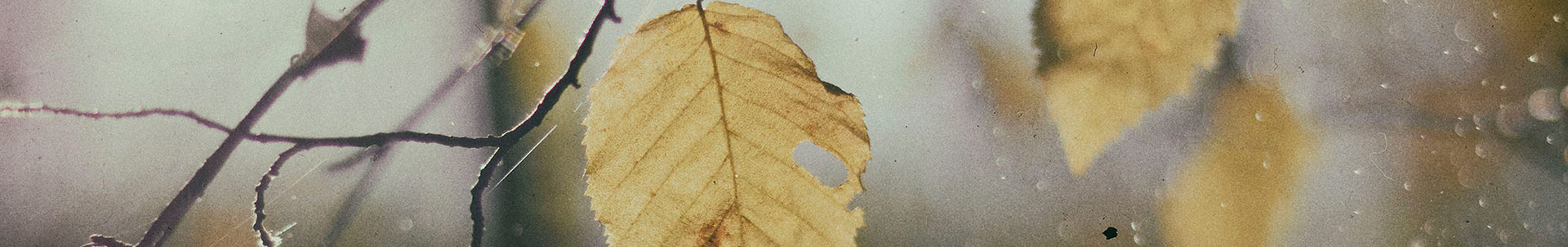 Mixtape alert: SOURCE brings autumn soundtrack