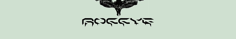 ROC CYE
