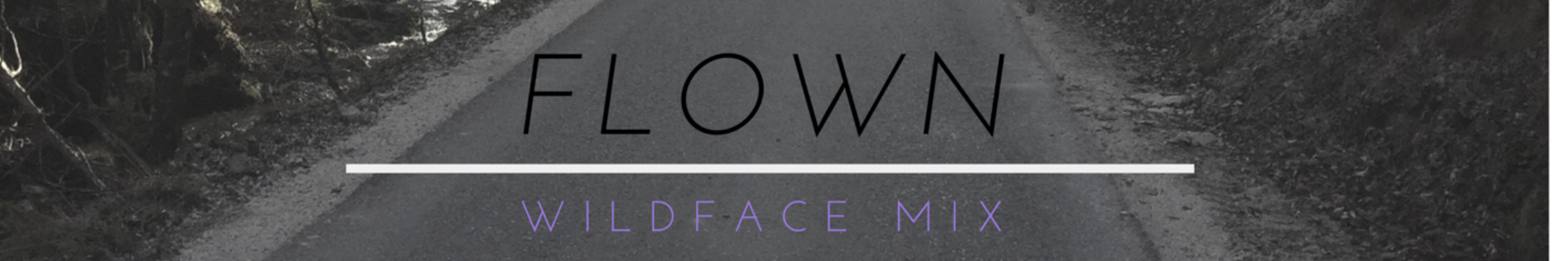 WildFace