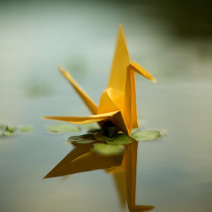 YellowOrigami