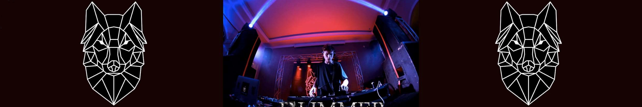 DJ immer