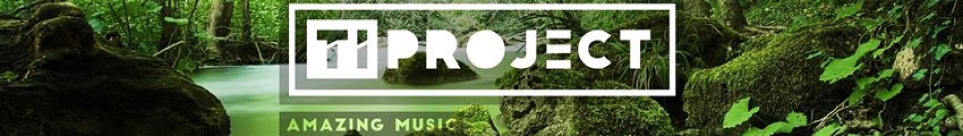 TIProject