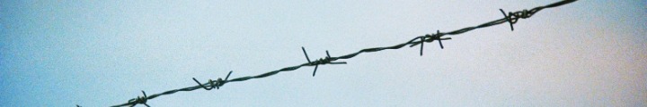 ToZiK