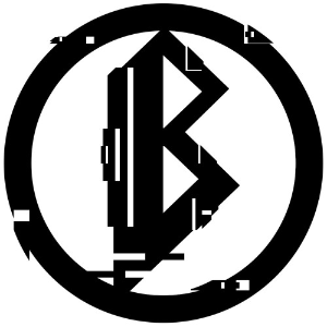 BL808D