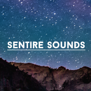 Sentire Sounds