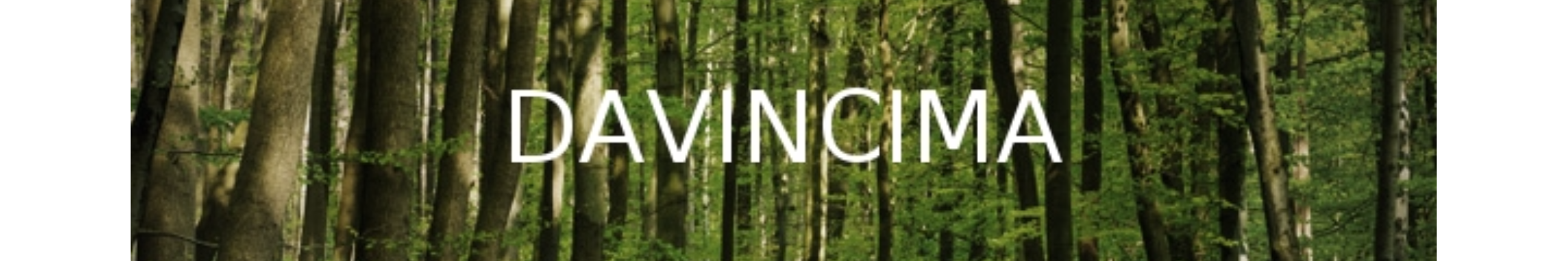 DaVinciMa