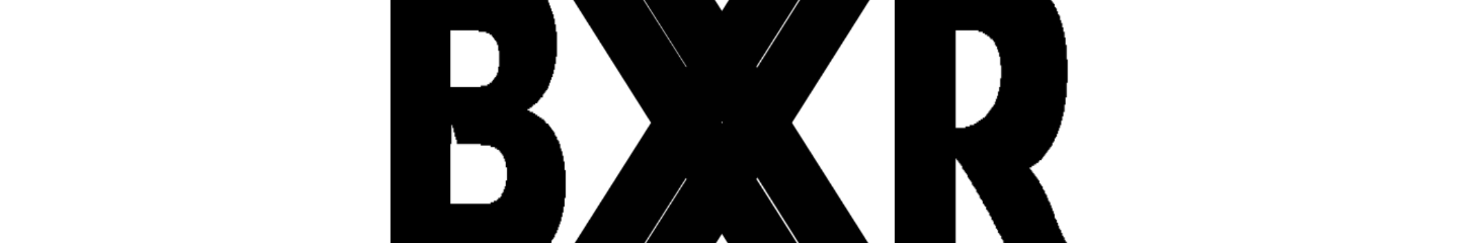 BoXXter