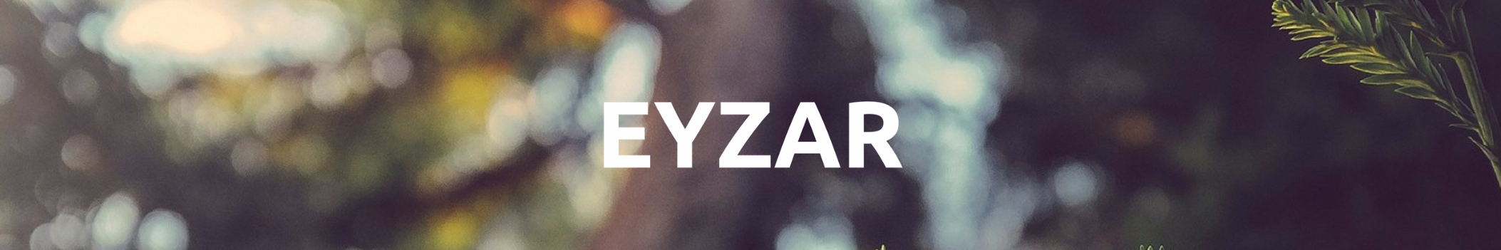 eyzarmusicmy