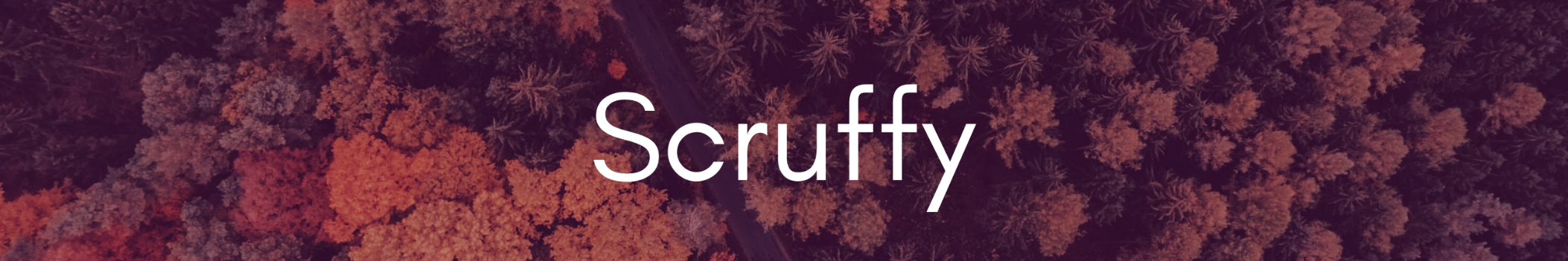Scruffy_DJ