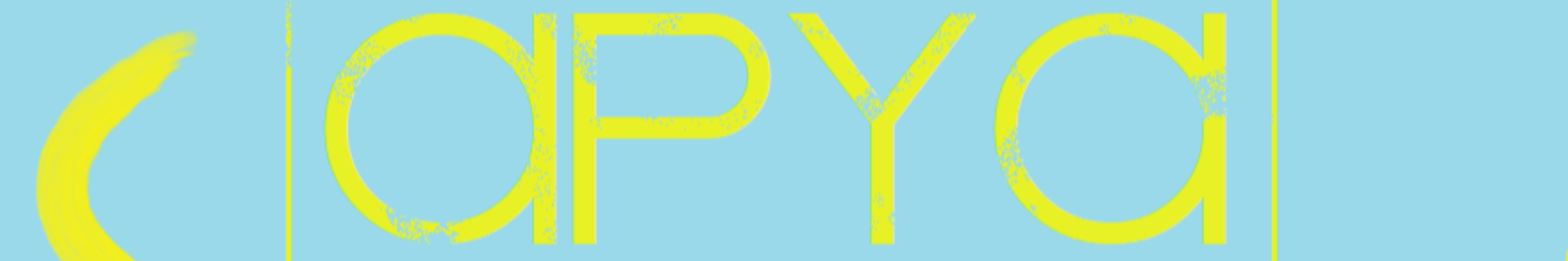 A P Y A