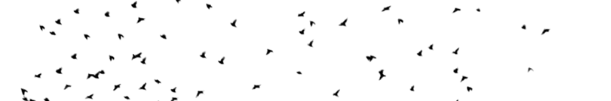 Zaubsevn