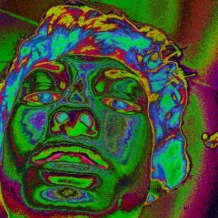 tone salmon
