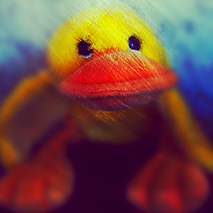 Yellow Crazy Duck