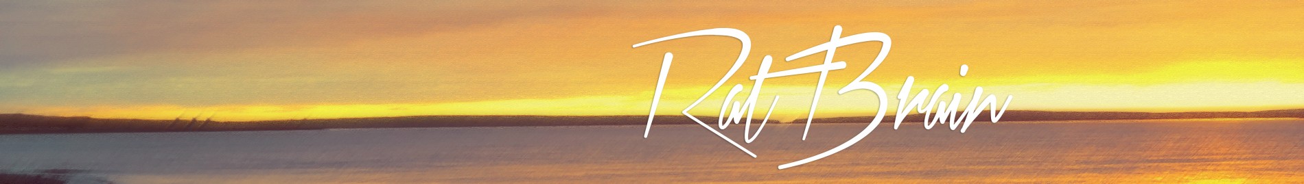 RatBrain