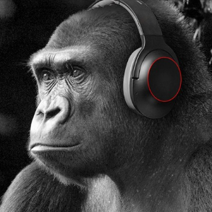 Maniq Monkey