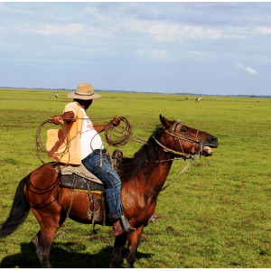 RicardoRojas Beltran