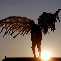 Angeloider