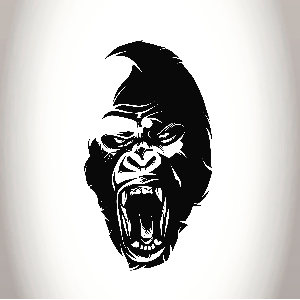 moomo beats