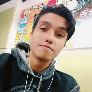 Librillex