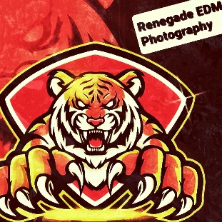 Renegade EDM