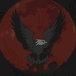 NIGHT HAWK