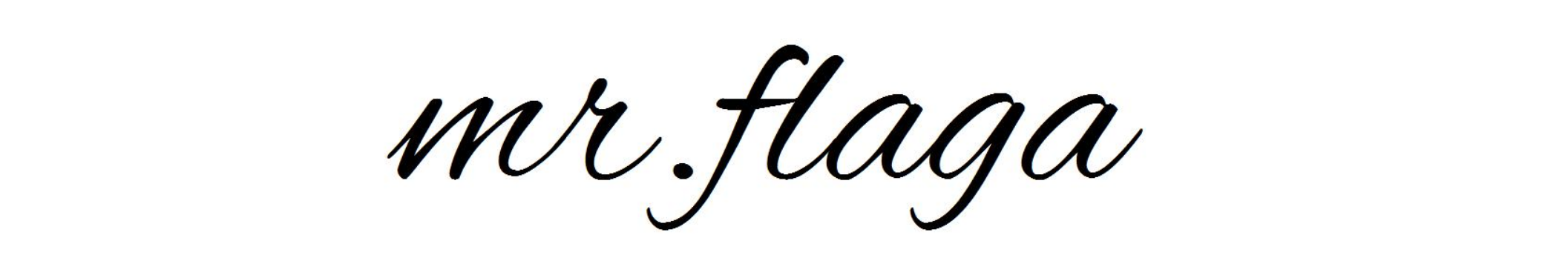 Mr Flaga