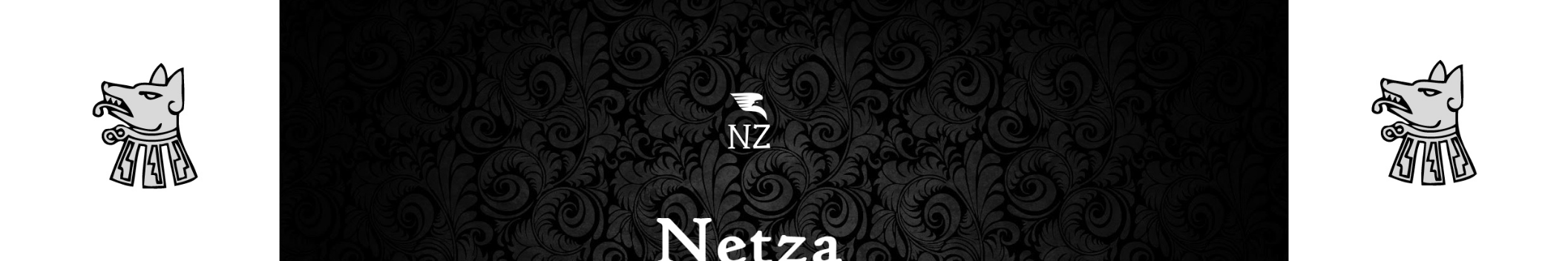 Netza