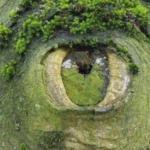 Lølï
