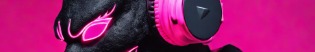 Prieex1