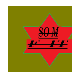 somfit