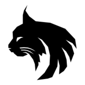 Lynxbangerz Music