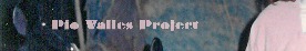 Pio Valles Project