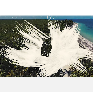 lauschmusik/elijah young