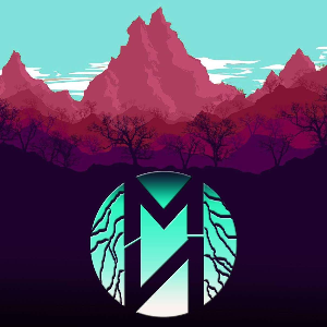 Magnet N
