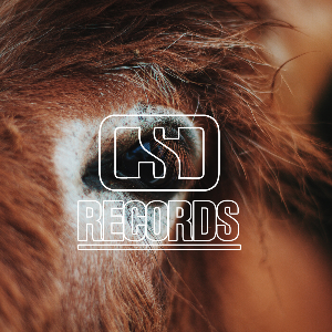 CSD RECORDS