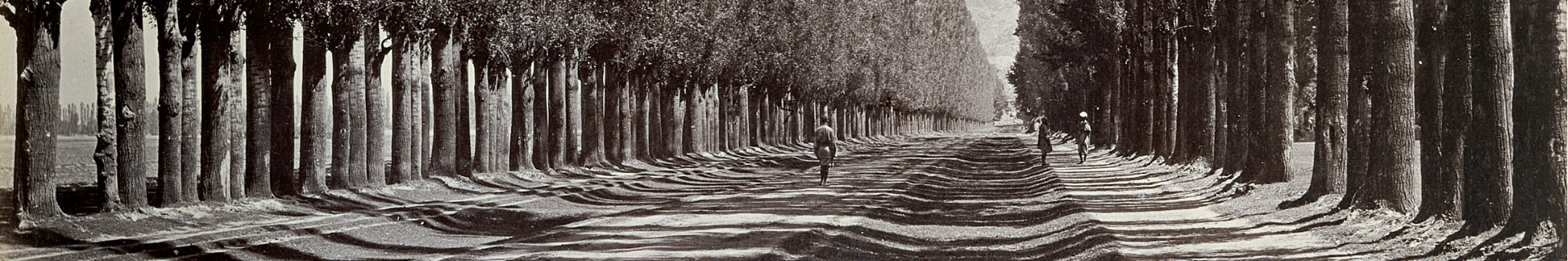 Pappelallee