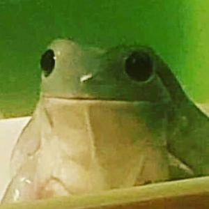 Syzmic