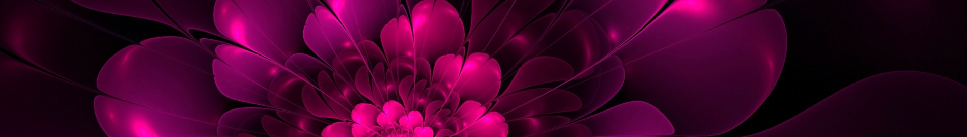 pinkrose158