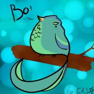 Niky Parvanov
