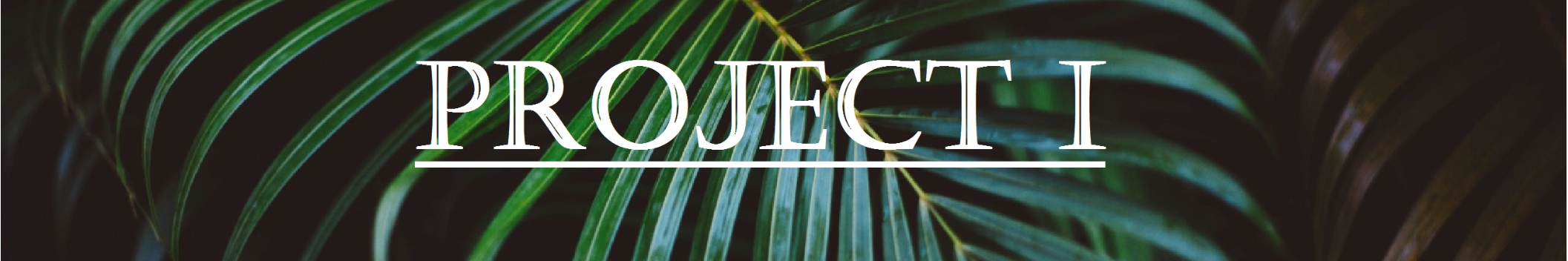 project_i