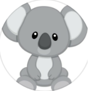 CLOUD KOALA