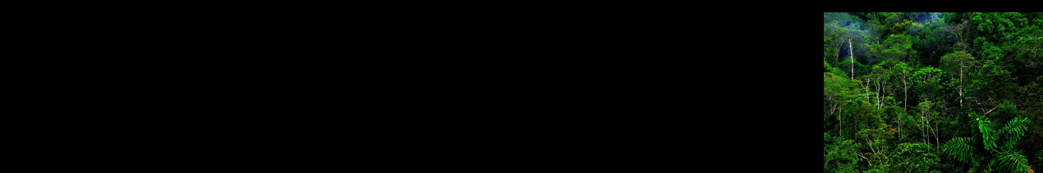 Djgabimusic