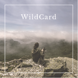 WildCard Official