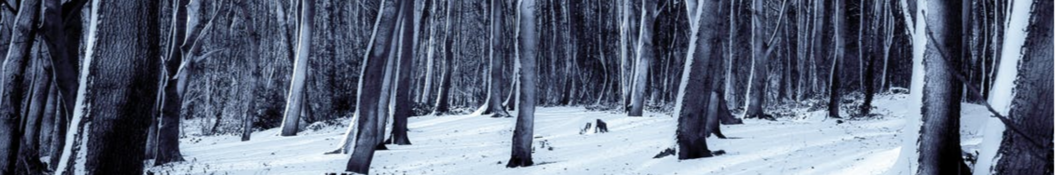 Polar