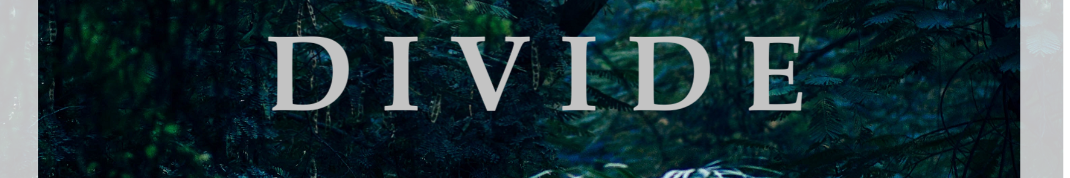 Divide