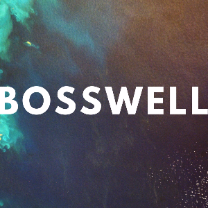BossWell