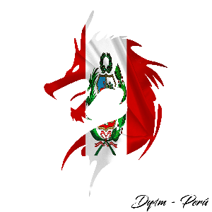 DY4M