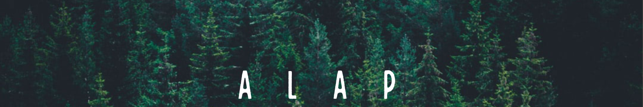 AlapMusic